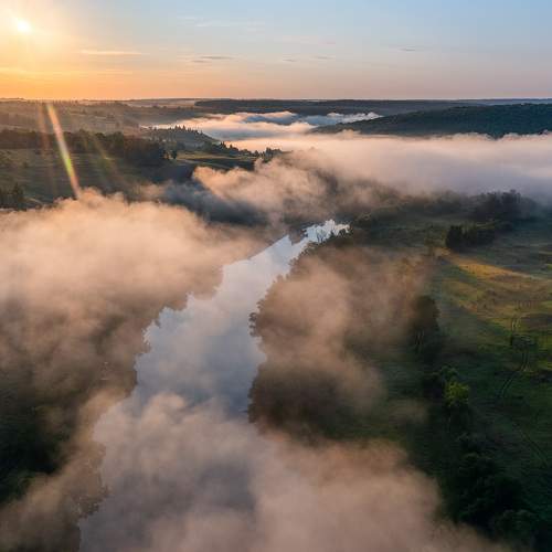 Photo #7274456