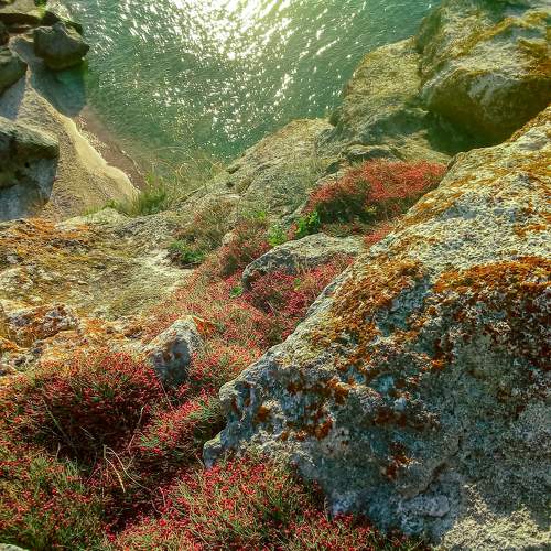Photo #7274665