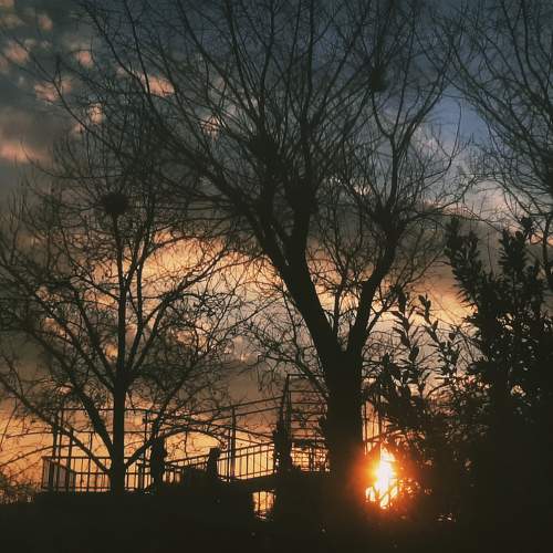 Photo #7274854