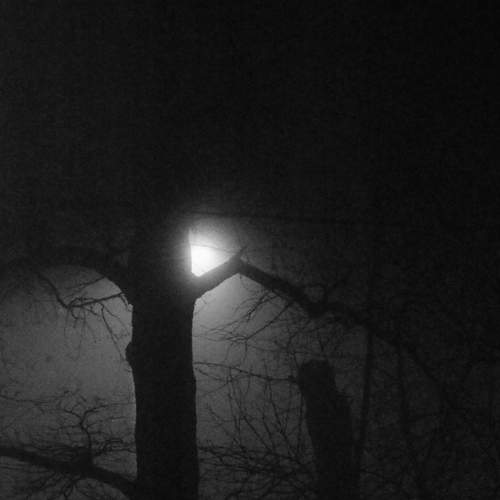 Photo #7274877