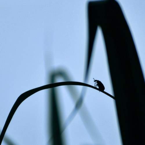 Photo #7275085