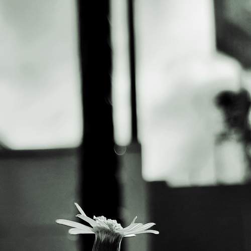 Photo #7275224