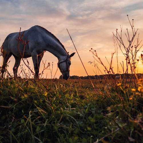 Photo #7275502