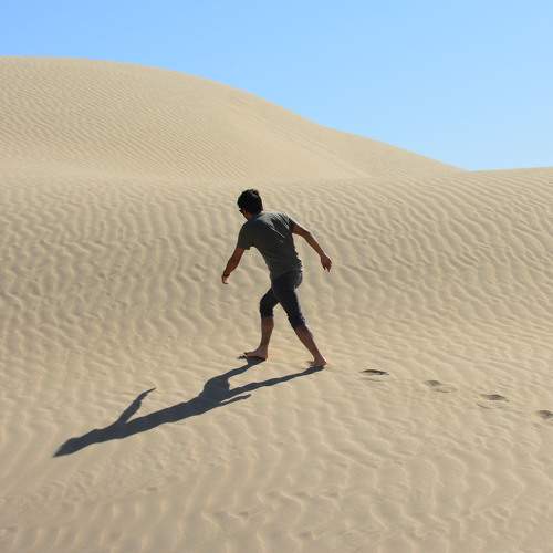 Photo #7275634
