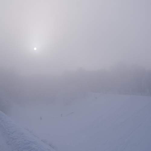 Photo #7275695