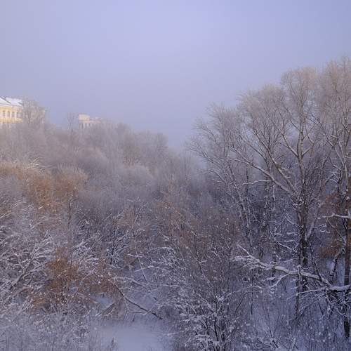Photo #7275705