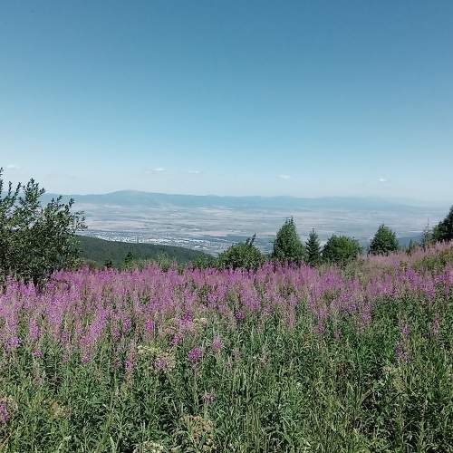 Vitosha mountain