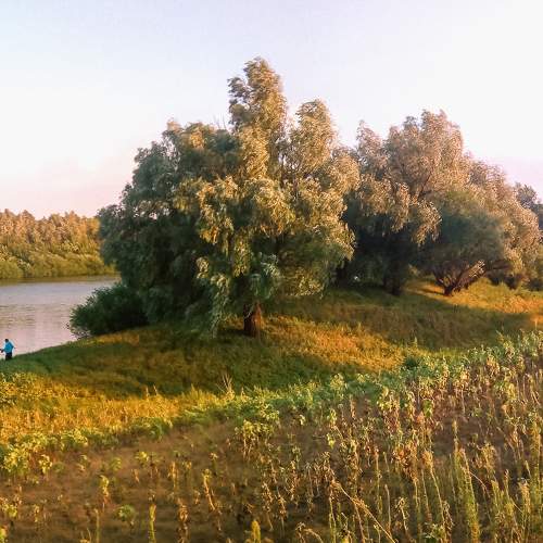 Photo #7275841