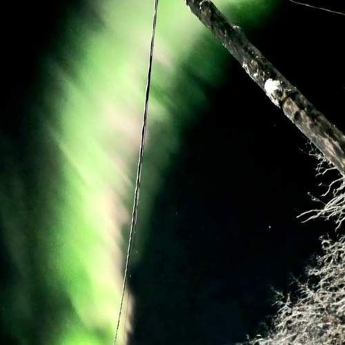 Photo #7276169