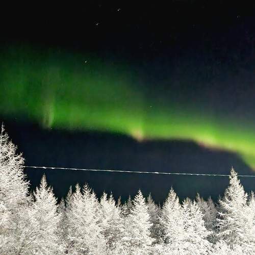 Photo #7276173