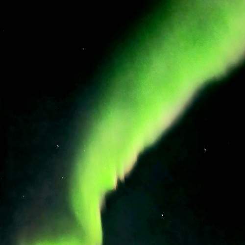 Photo #7276174
