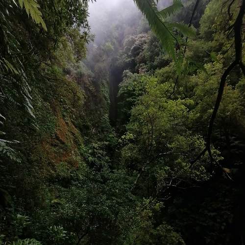 Photo #7276587