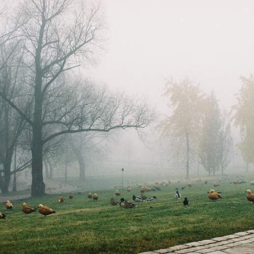 Photo #7276707