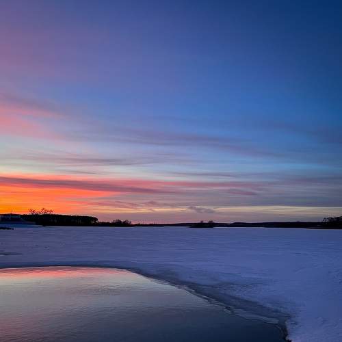Photo #7276725