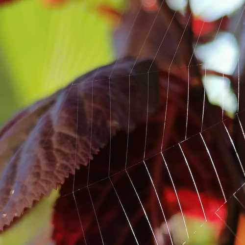 Photo #7277175