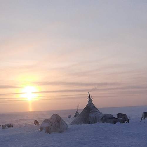 Photo #7277604