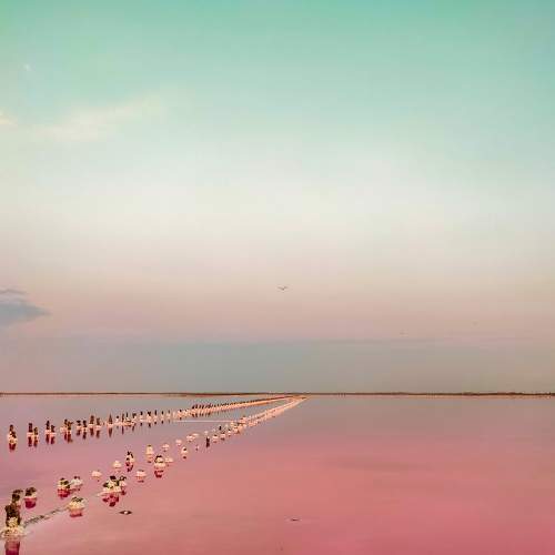 Photo #7278017
