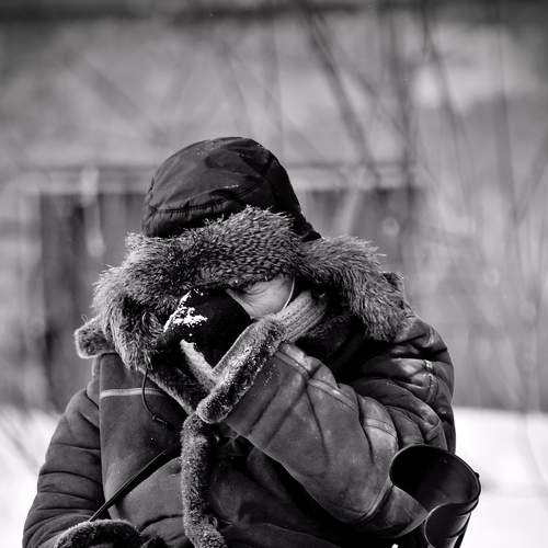 Photo #7278238