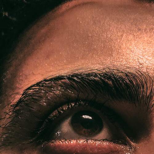 Photo #7278434