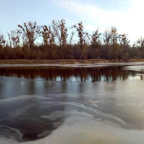 Photo #7278473