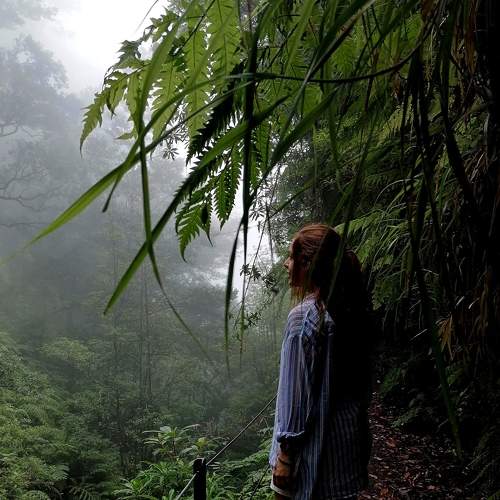 Photo #7278754