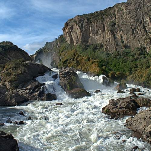 Photo #7278845