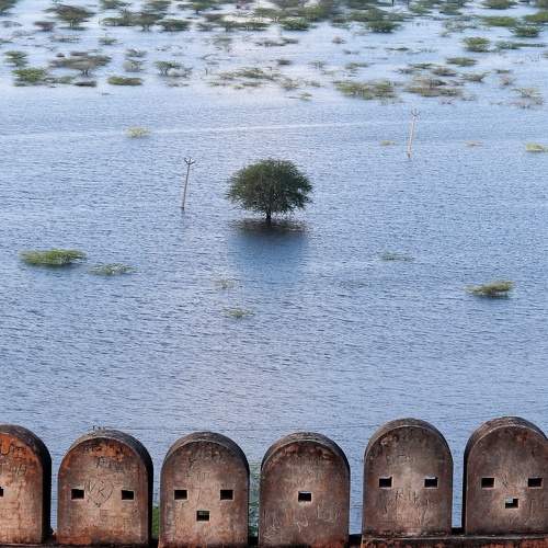 Photo #7279031