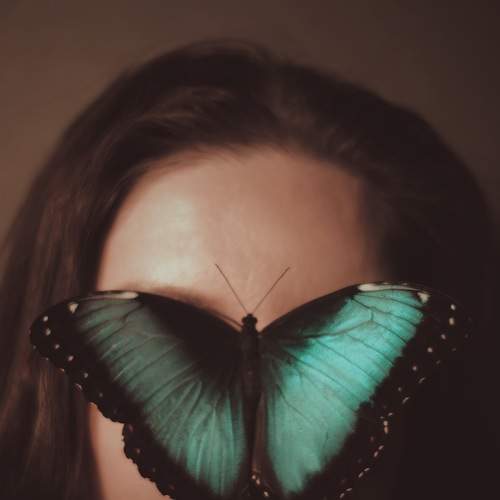 Photo #7279309