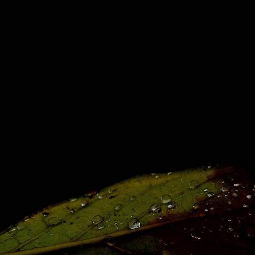 Photo #7279325