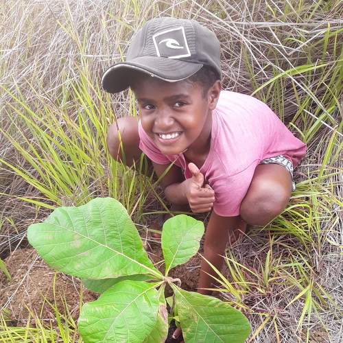 Tree planting