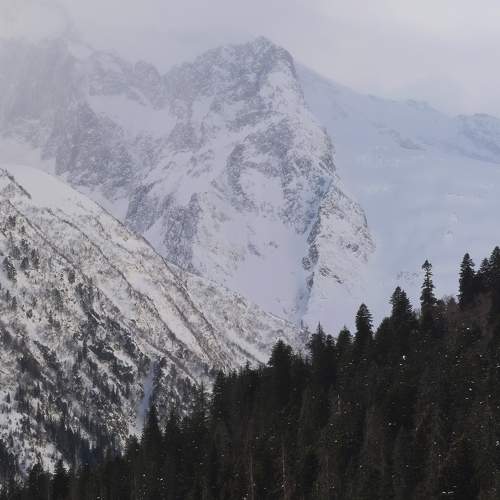 Photo #7279528