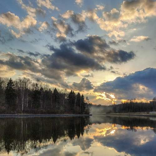Photo #7279698