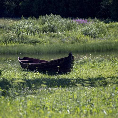 Photo #7279781