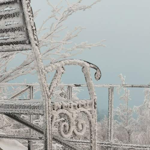 Photo #7279881