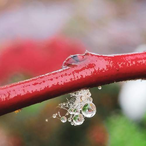 Photo #7279886