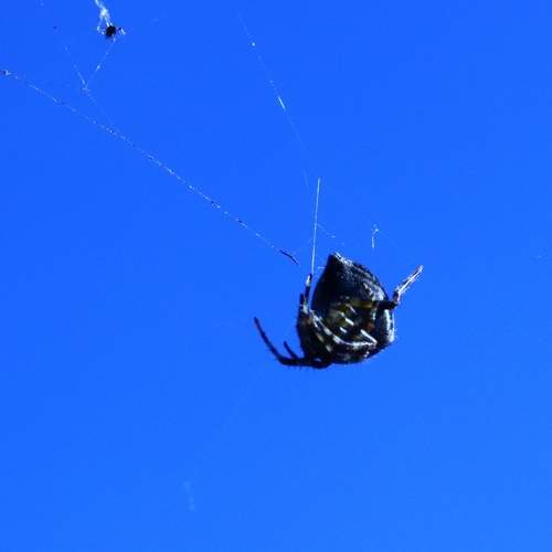 Photo #7280012