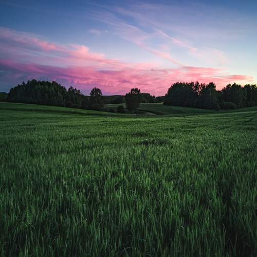 Photo #7280162