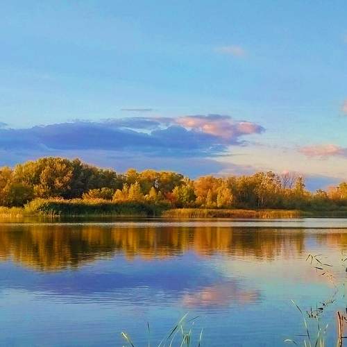 Photo #7280376