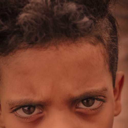 Photo #7280523