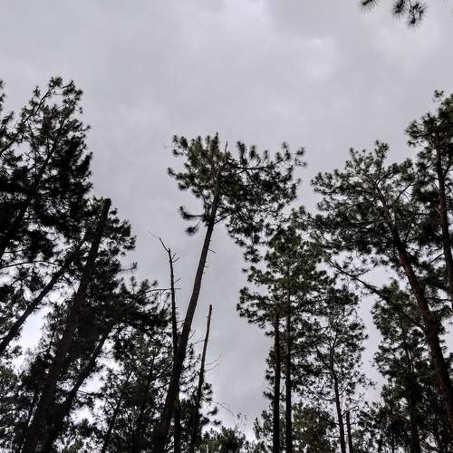 Photo #7280534