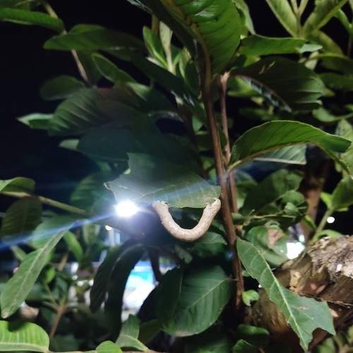 Photo #7280546