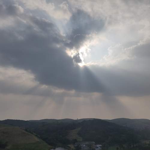 Photo #7280558