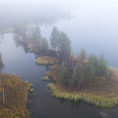 Photo #7280852