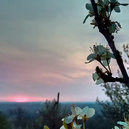 Photo #7280875
