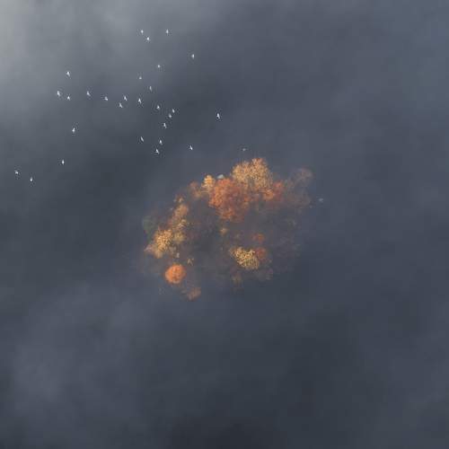 Photo #7280924