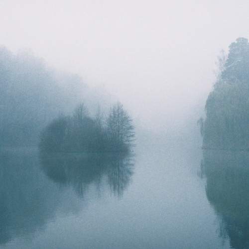 Photo #7281675