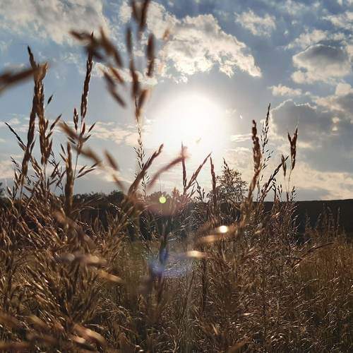 Photo #7281796