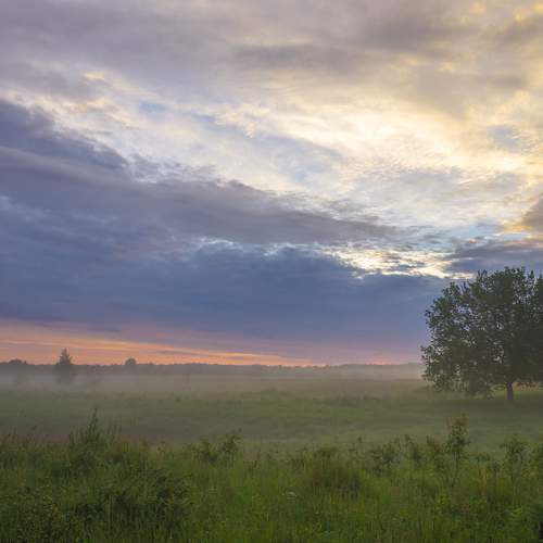 Photo #7282143