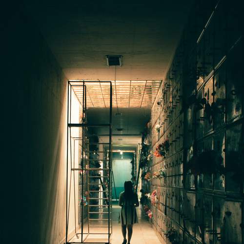 Photo #7282168