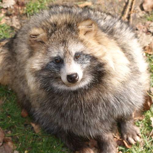Photo #7282306